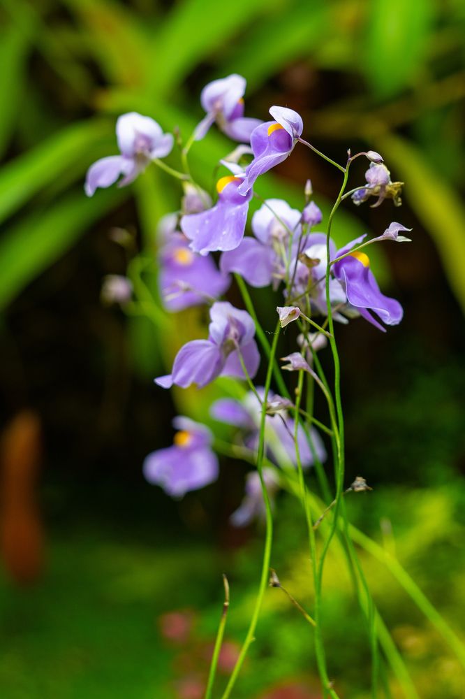 Photograph by Роман Шаров