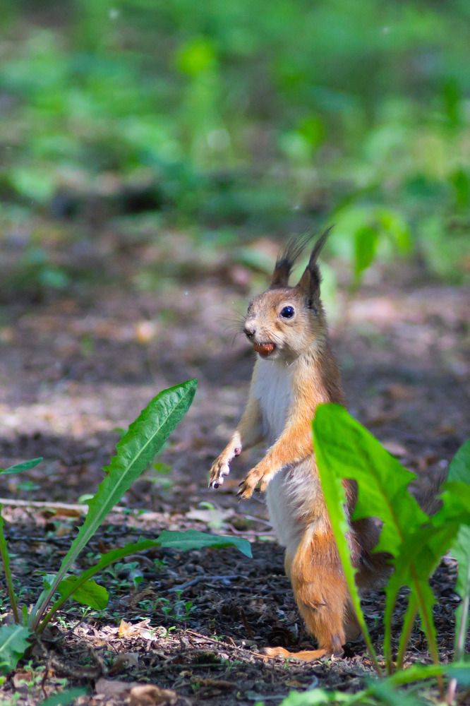Photograph by Роман Шаров