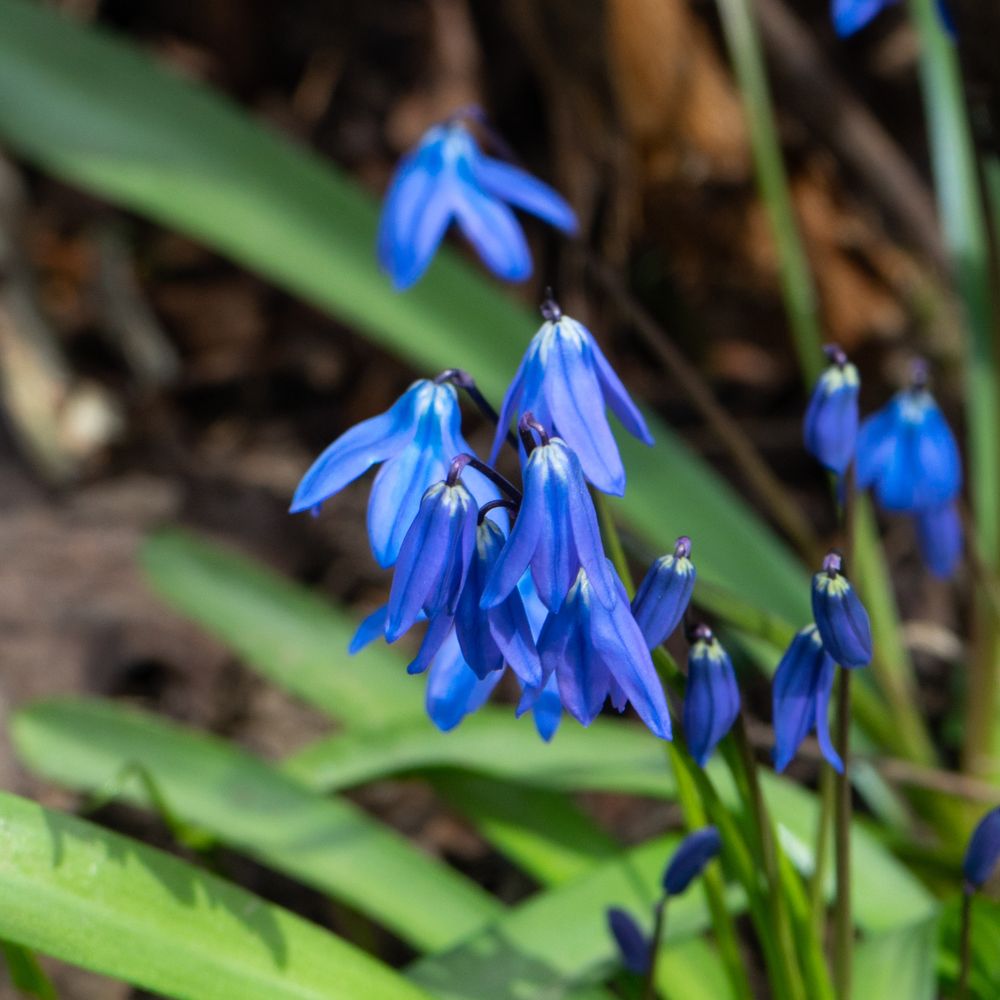 Photograph by Роман Шаров
