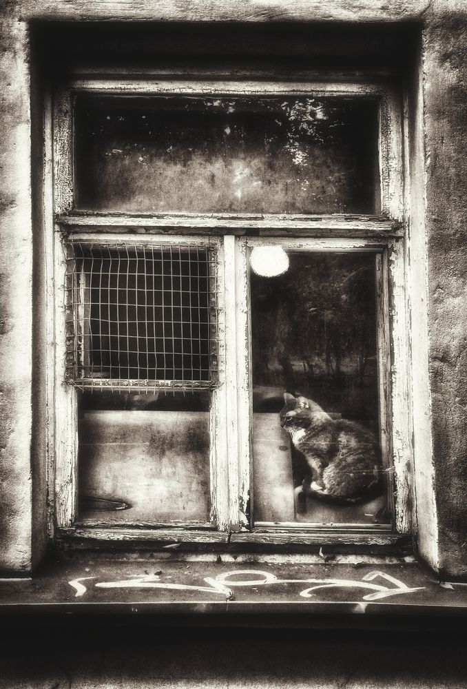 Photograph by Владимир Ковжаров