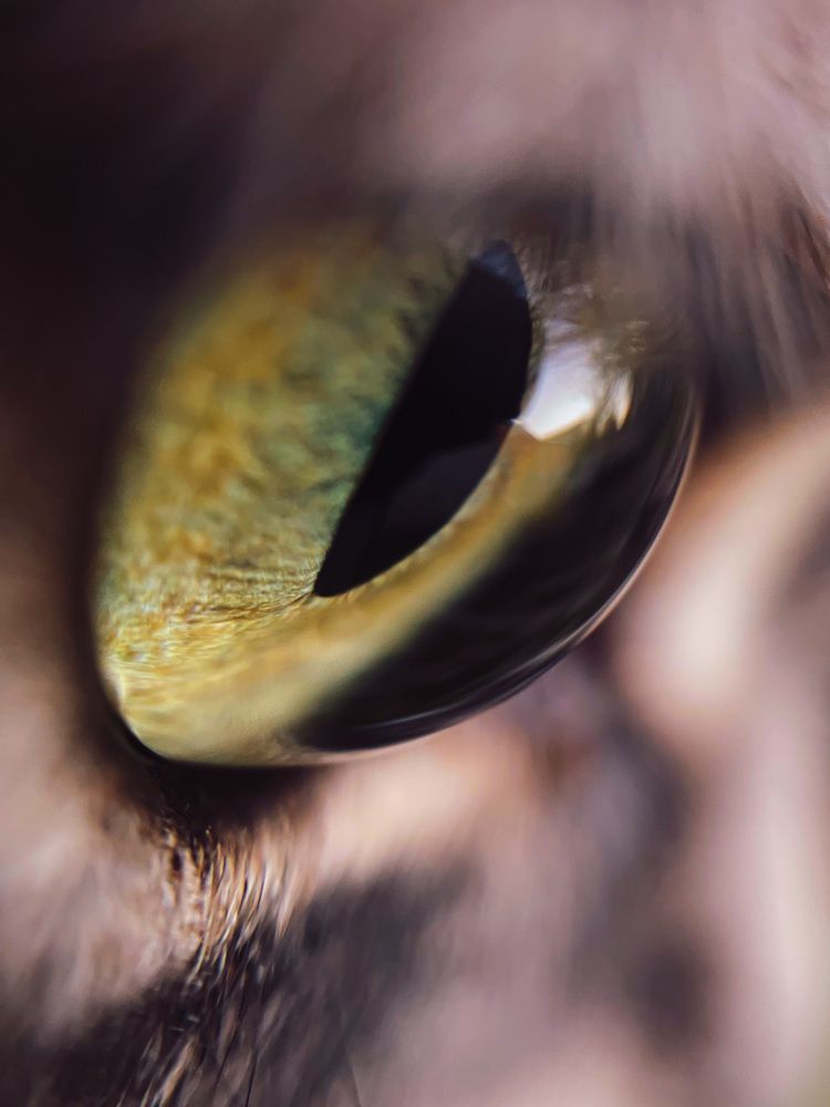 Photograph by Марина Тверитнева