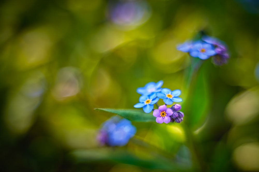 Фотография автора Владислав Храмцов