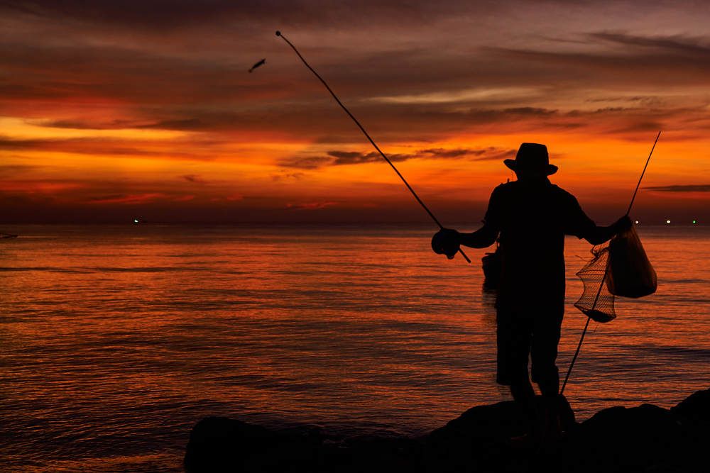 Photograph by Дмитрий Солодухин