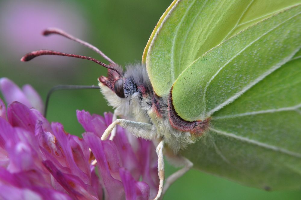 Photograph by Игорь Двойных