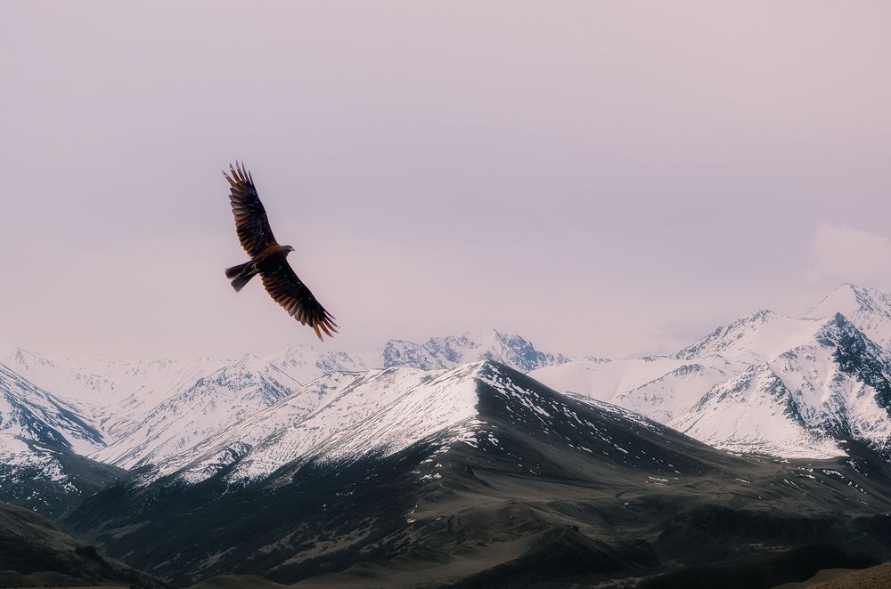 Photograph by Natalia Bolotenkova