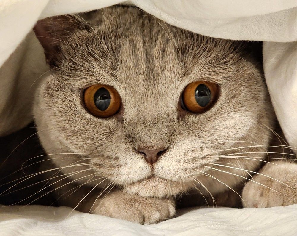 Photograph by Надежда Кудрявцева