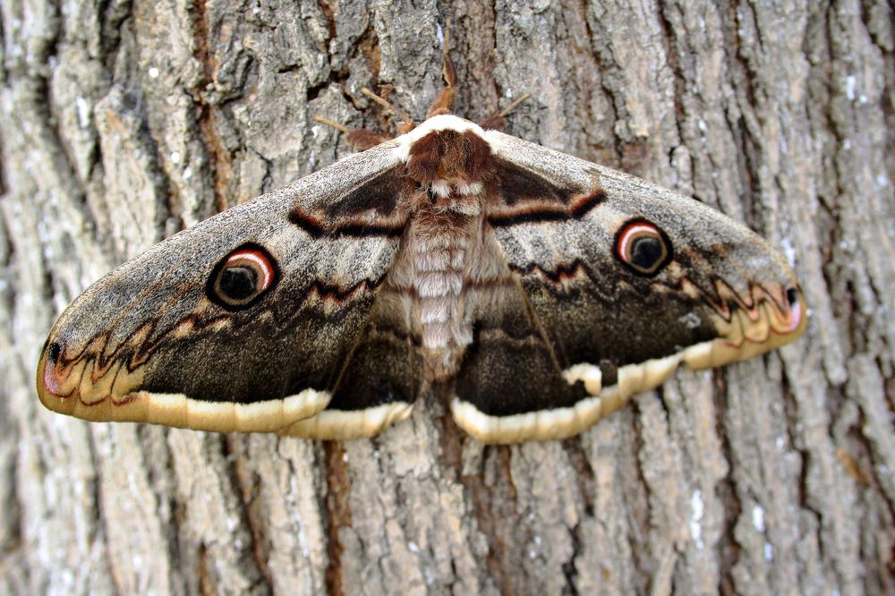 Photograph by Дашдемир Мамедов