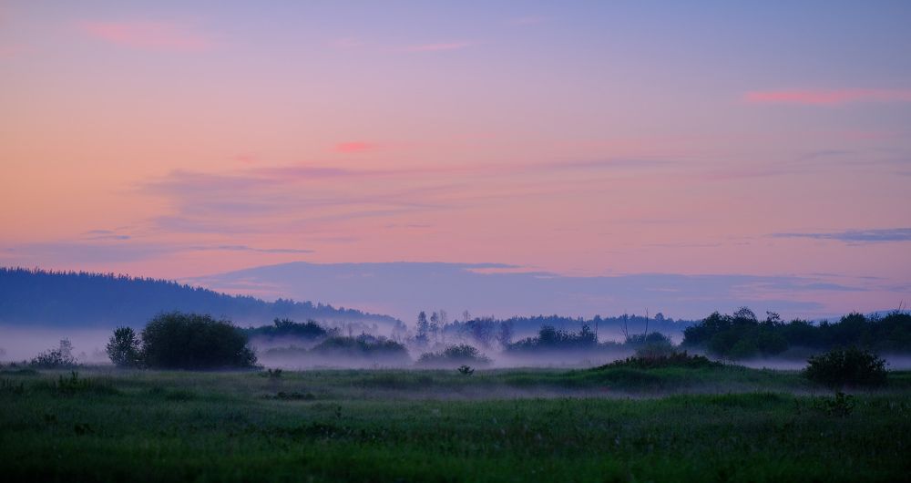 Photograph by Гудков Игорь