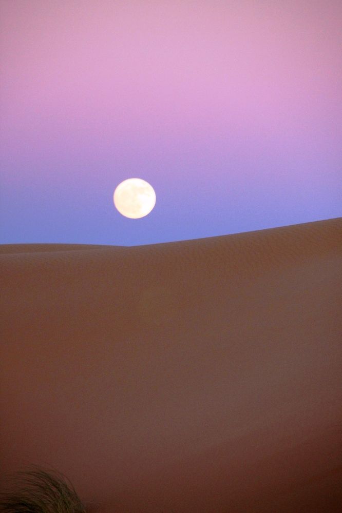 Photograph by Leo Tujak