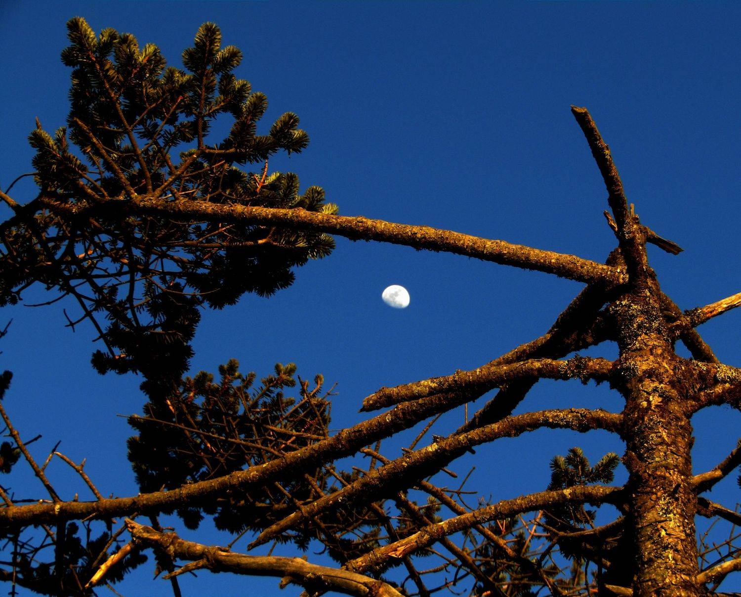 Photo #9205107