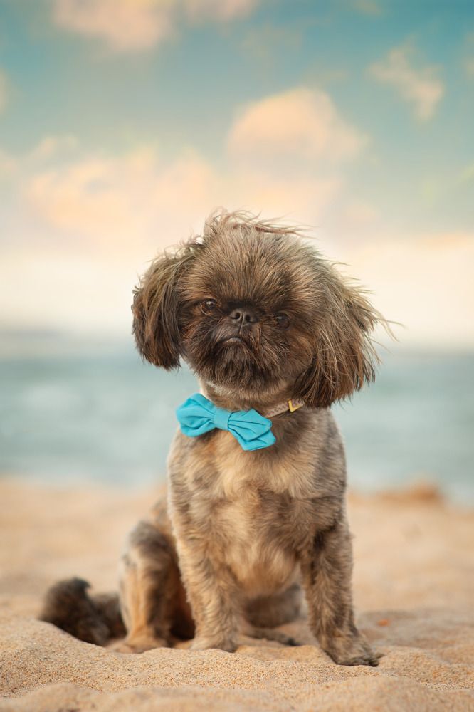 Photograph by Anastassiya Radionova