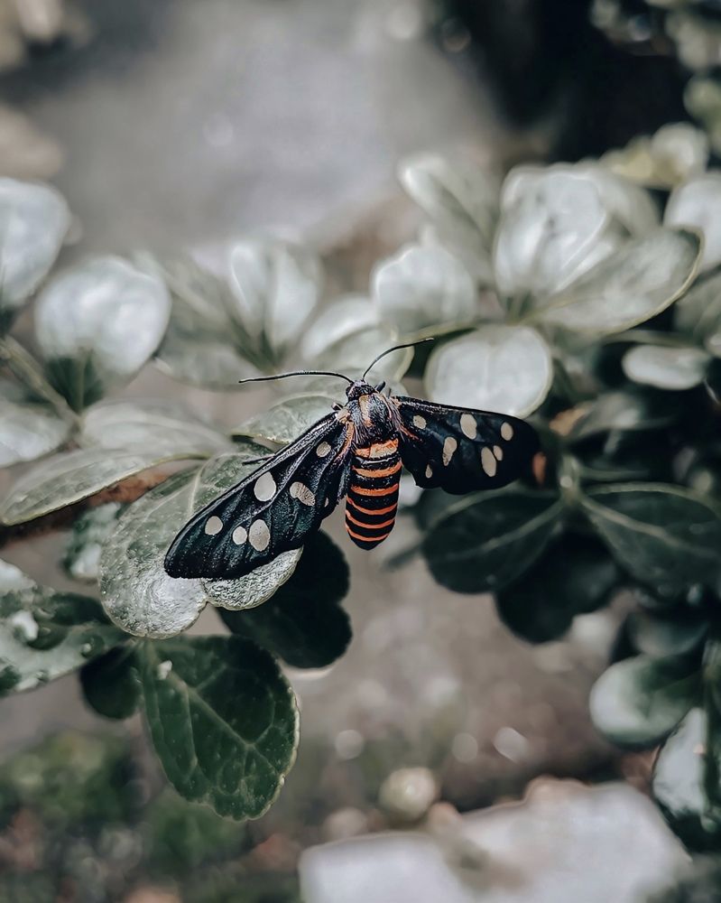 Photograph by Aaron R S