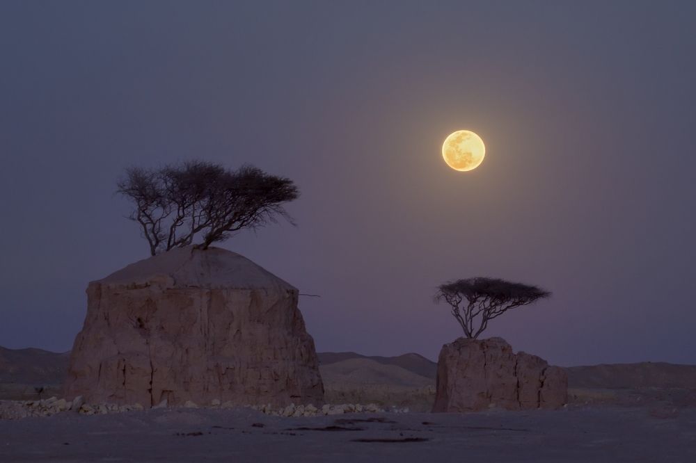 Photograph by Mohamad Al Dabbas