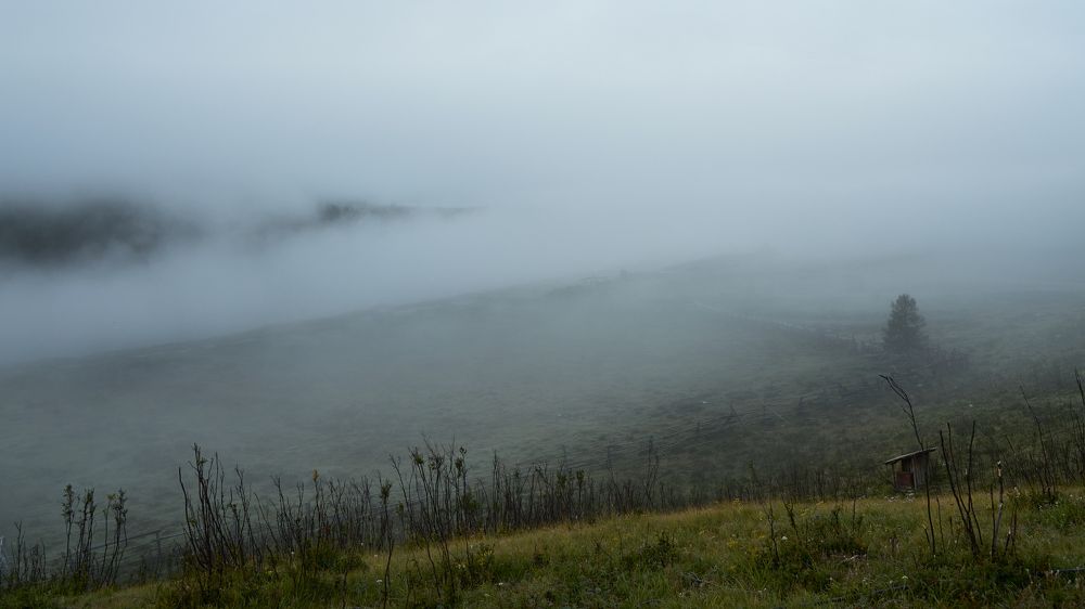 Photograph by Ирина Секачева