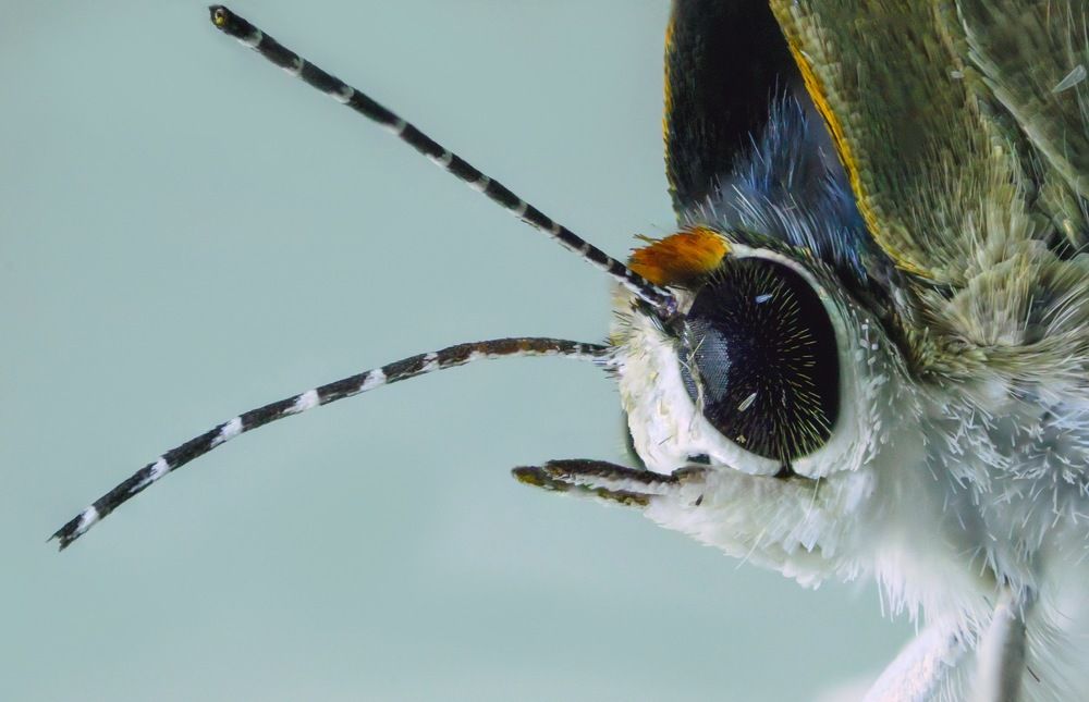 Photograph by elieser barbosa