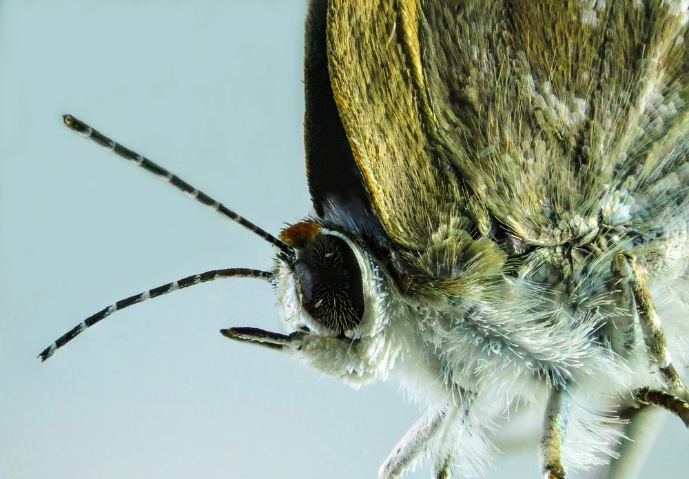 Photograph by elieser barbosa