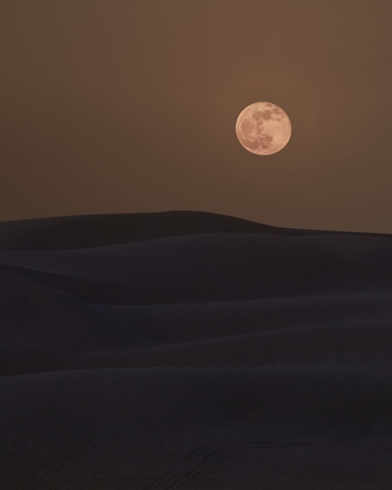 Photograph by Mohamad Al Dabbas