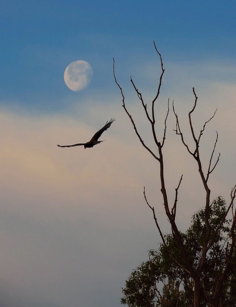 Photograph by Савоцкий Роман