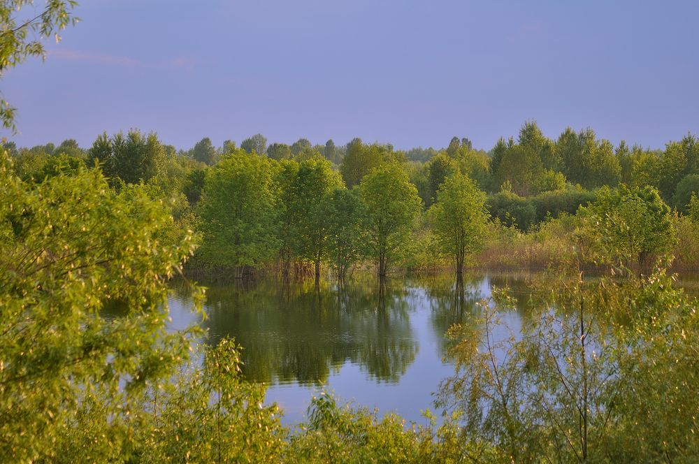 Photograph by Дмитрий Жуков