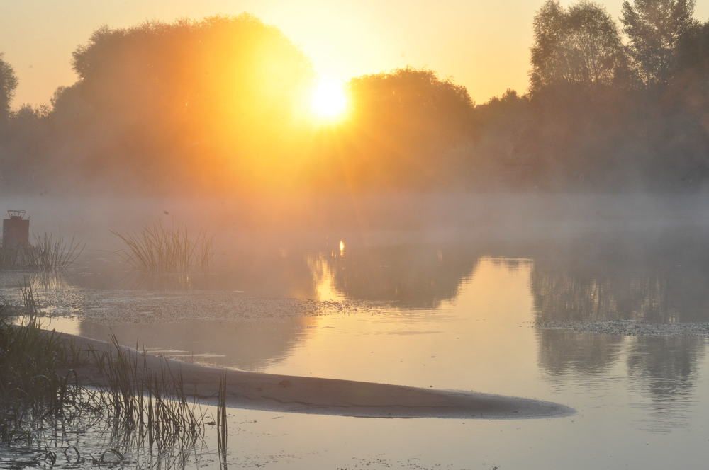 Photograph by Дмитрий Жуков
