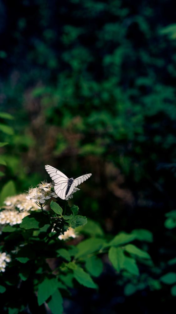 Photograph by Евгений Имамутдинов