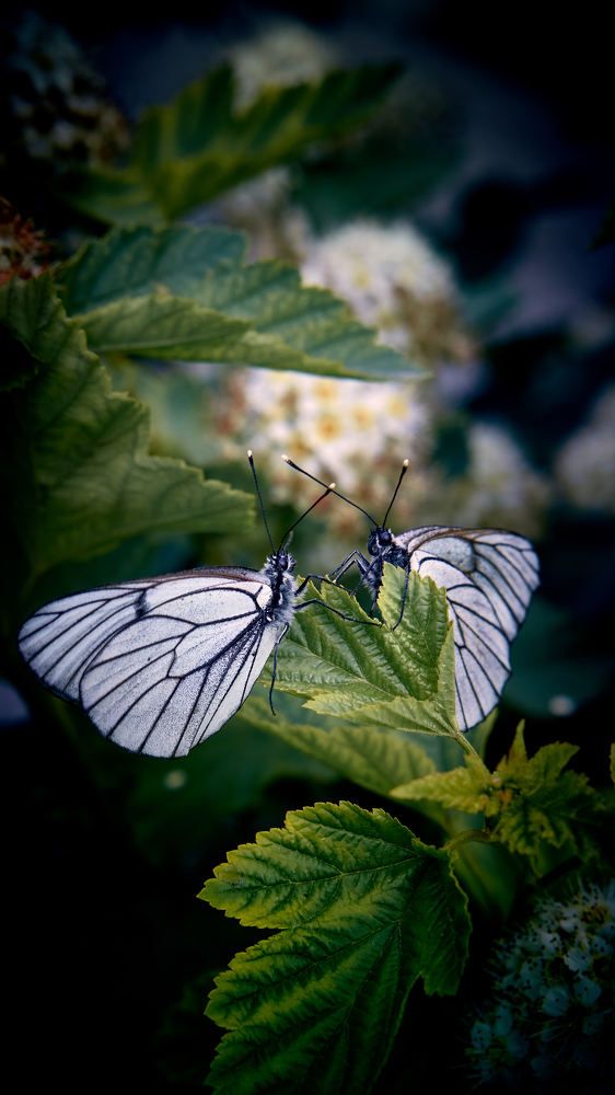 Photograph by Евгений Имамутдинов