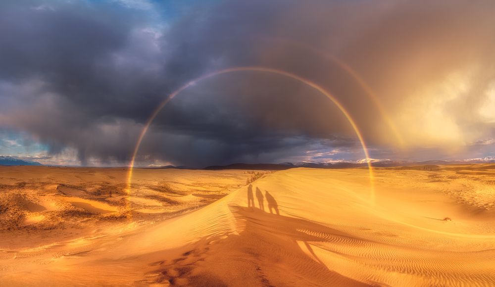 Photograph by Полякова Наталия