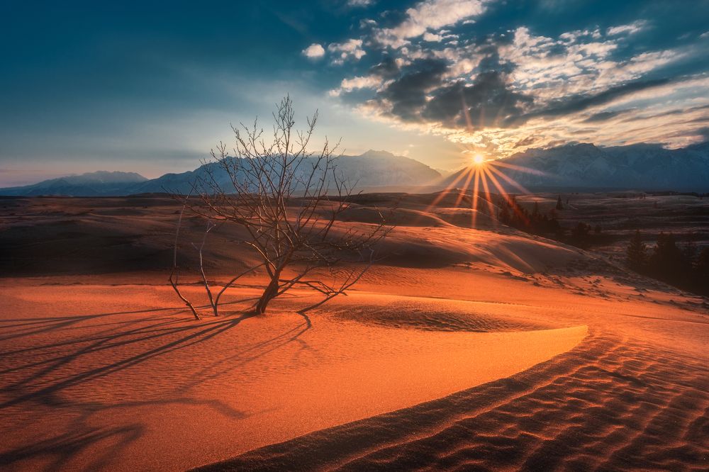 Photograph by Полякова Наталия