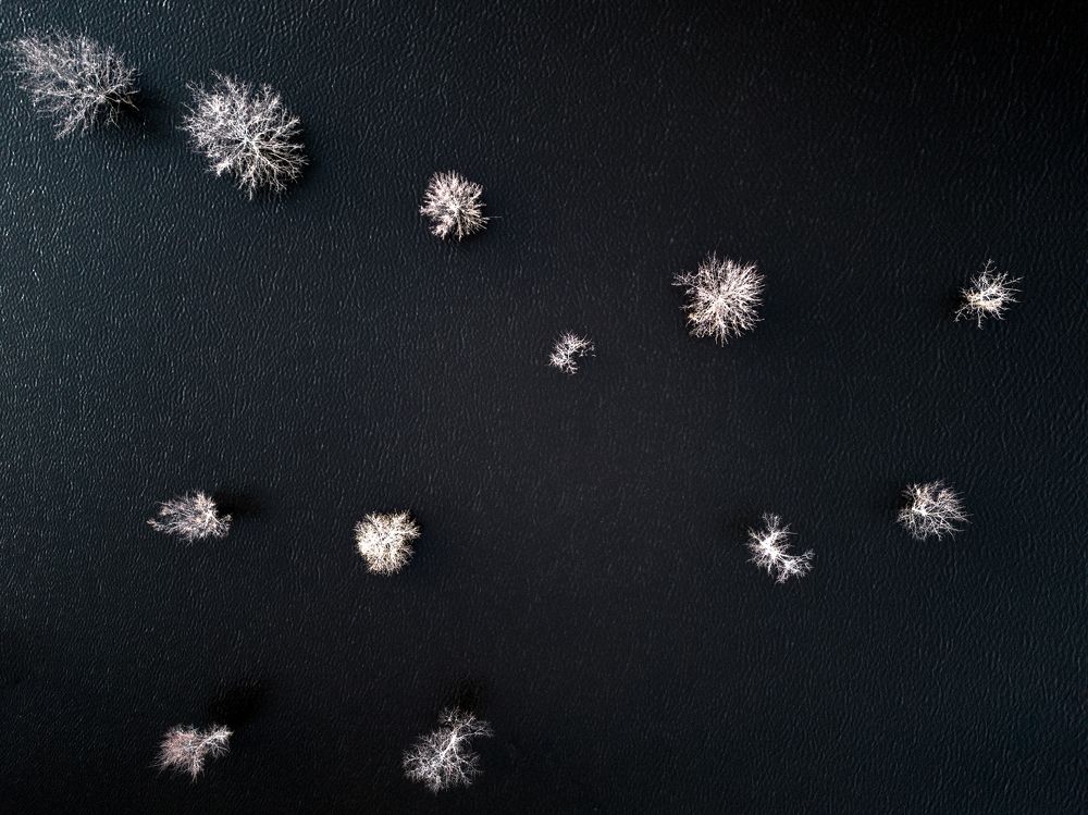 Photograph by Полякова Наталия