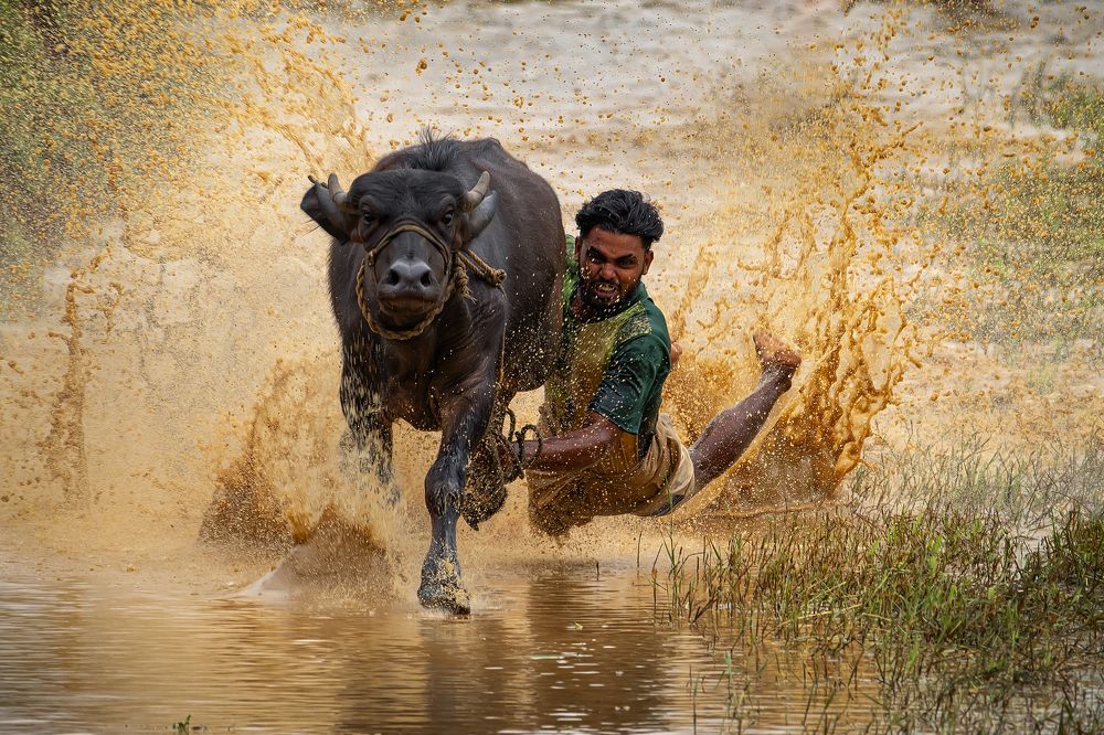 Photograph by Vivek Ts