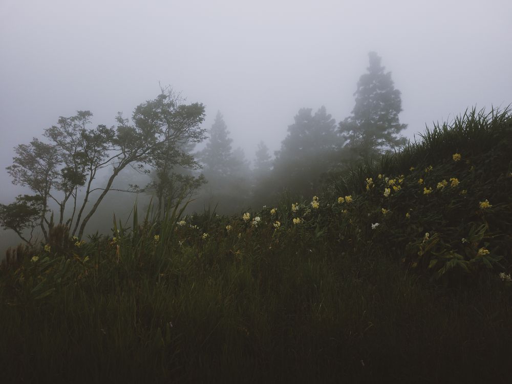 Photograph by Allan Carvalho