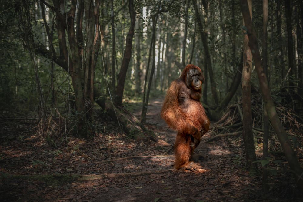 Фотография автора Anil Prabhakar