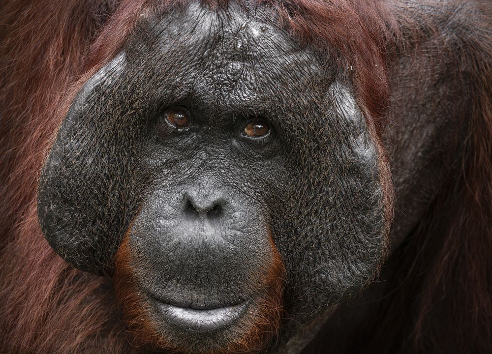 Фотография автора Anil Prabhakar