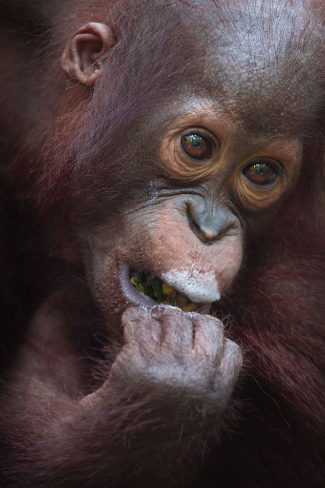 Фотография автора Anil Prabhakar