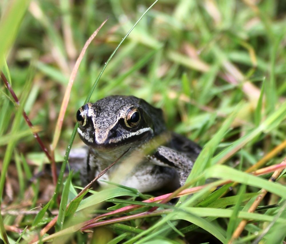 Photograph by Olga Bagaeva