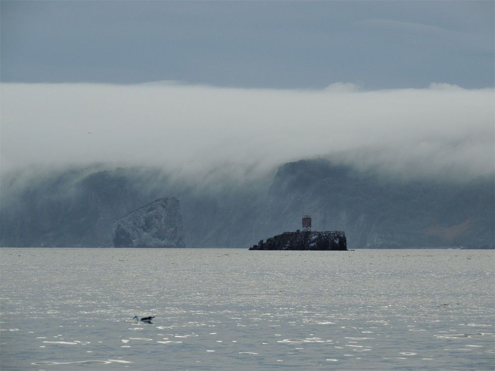 Photograph by Ирина Фирсова