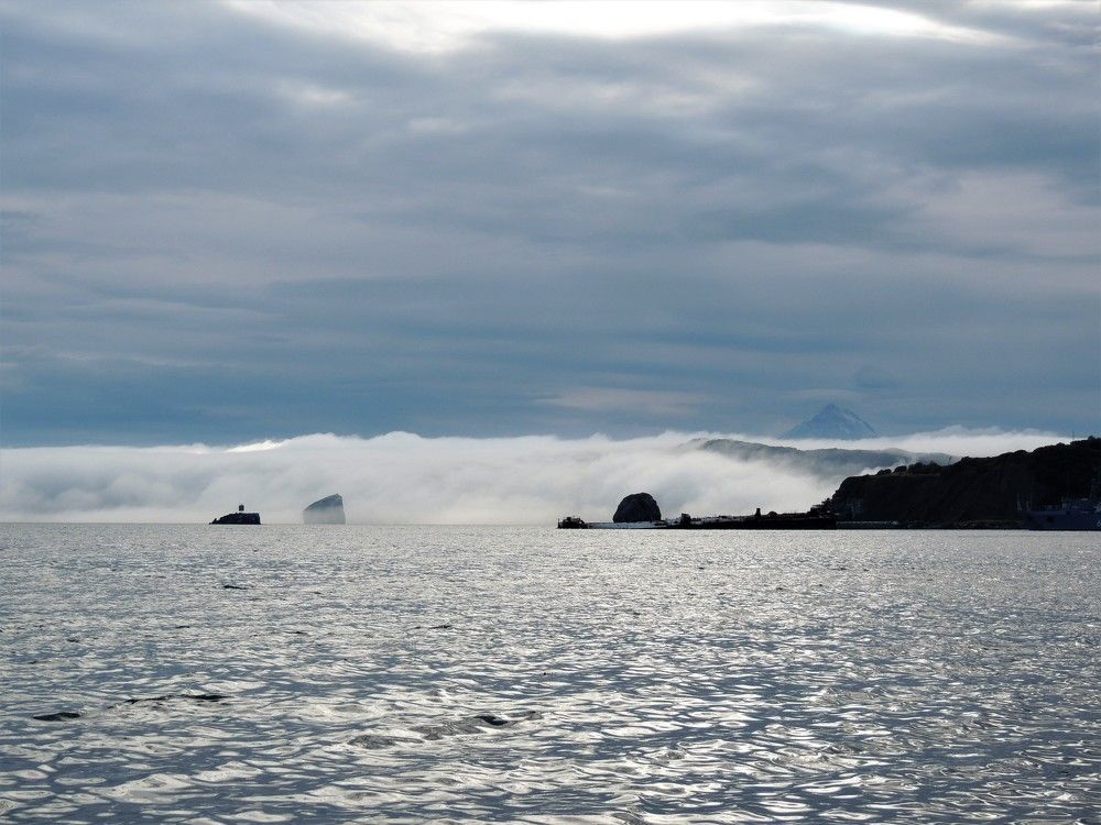 Photograph by Ирина Фирсова