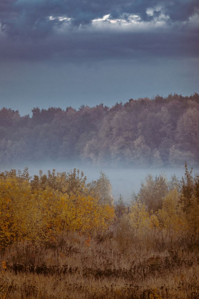 Photograph by Наталья Федорова