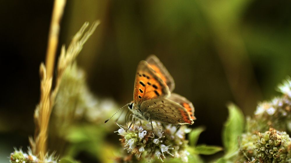 Photograph by Артемий Соловьёв