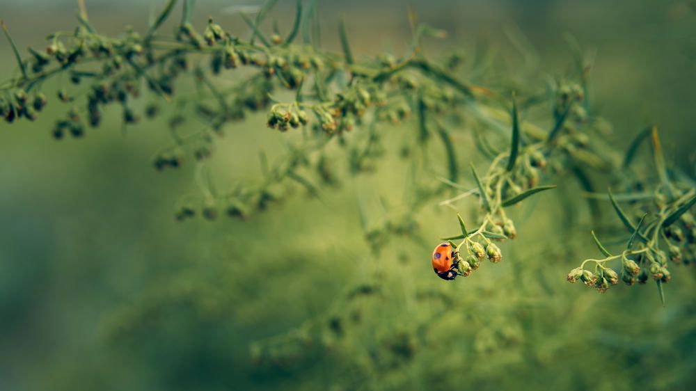 Photograph by Евгений Имамутдинов