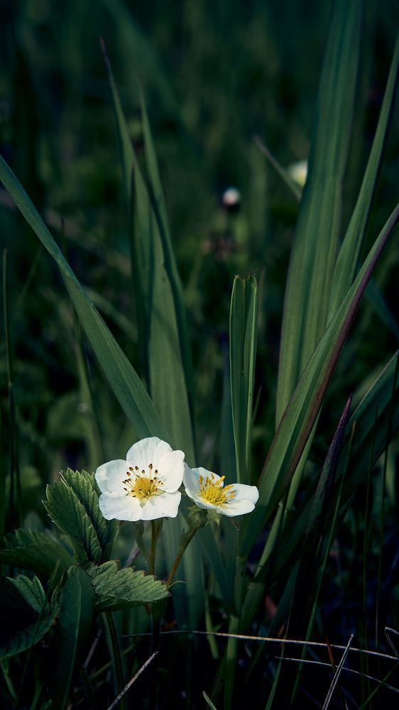 Photograph by Евгений Имамутдинов