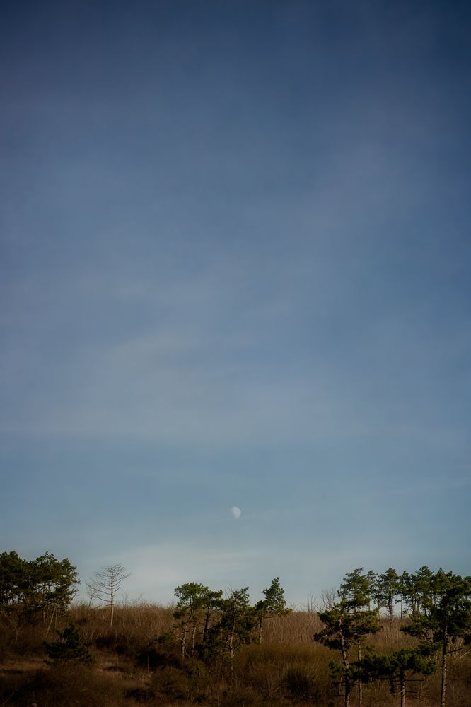 Photograph by Uliya Krakos