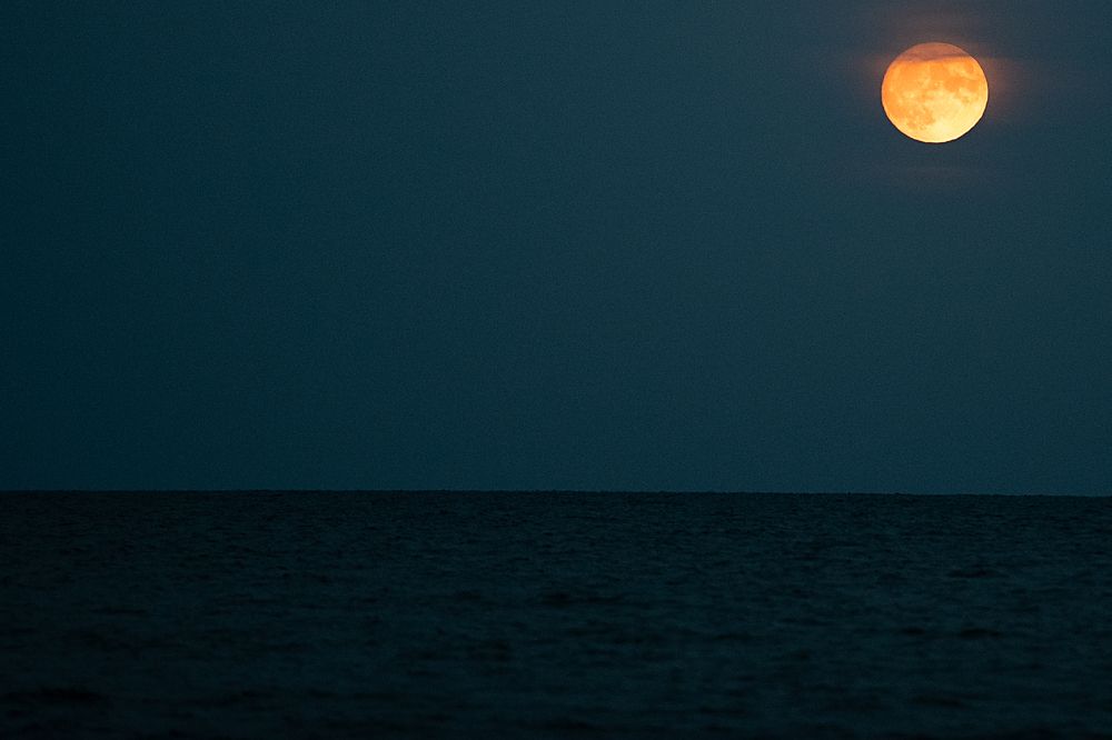 Photograph by Uliya Krakos