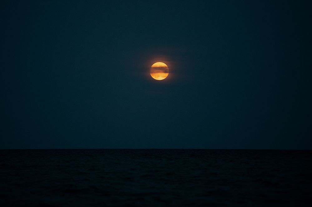 Photograph by Uliya Krakos