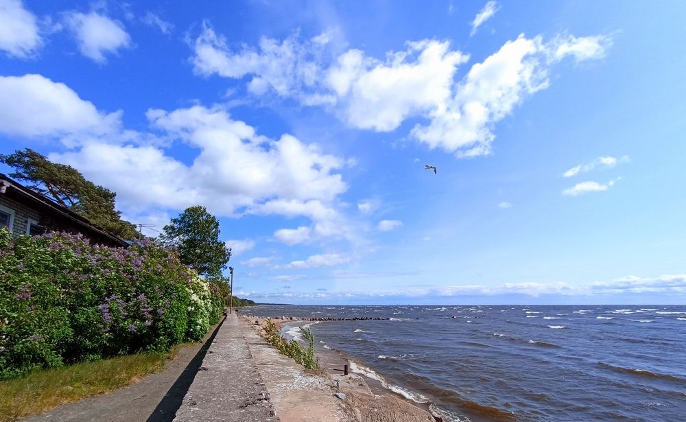 Photograph by Татьяна Смирнова