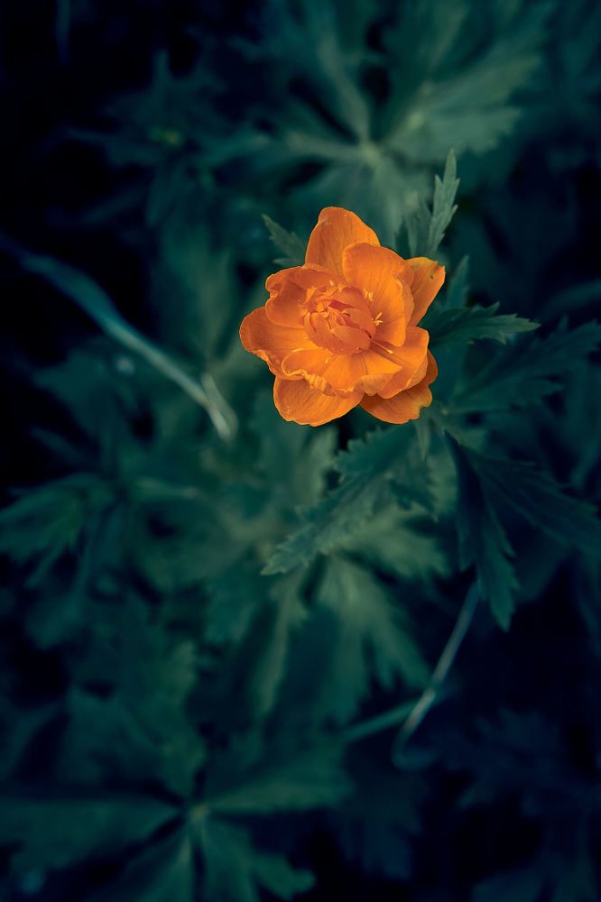 Photograph by Евгений Имамутдинов