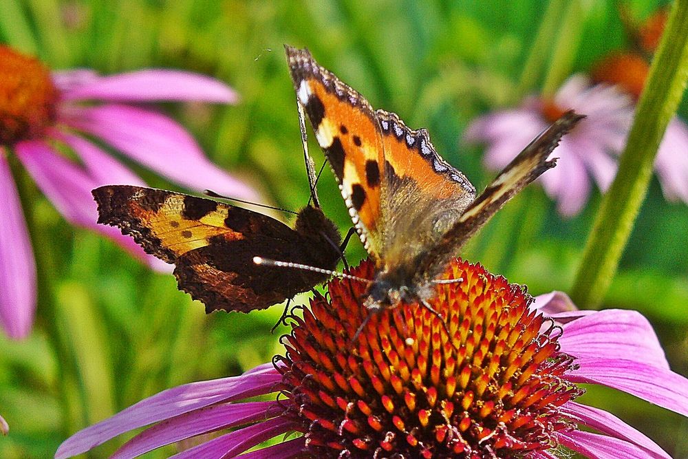 Photograph by Юрий Пучков