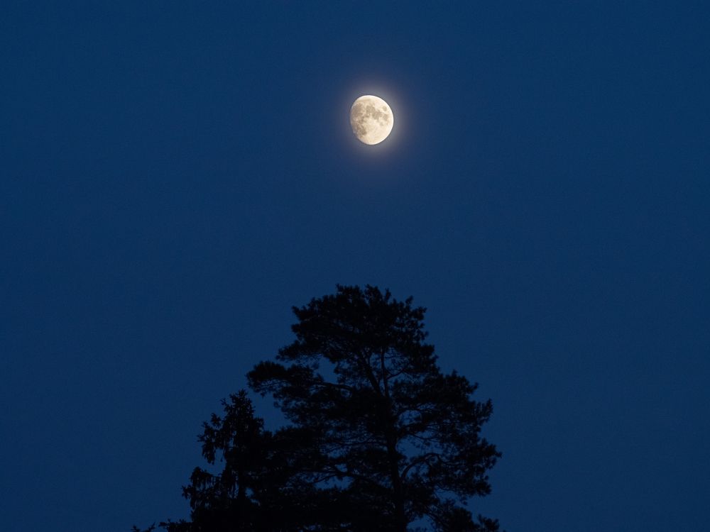 Photograph by Борис Челышев