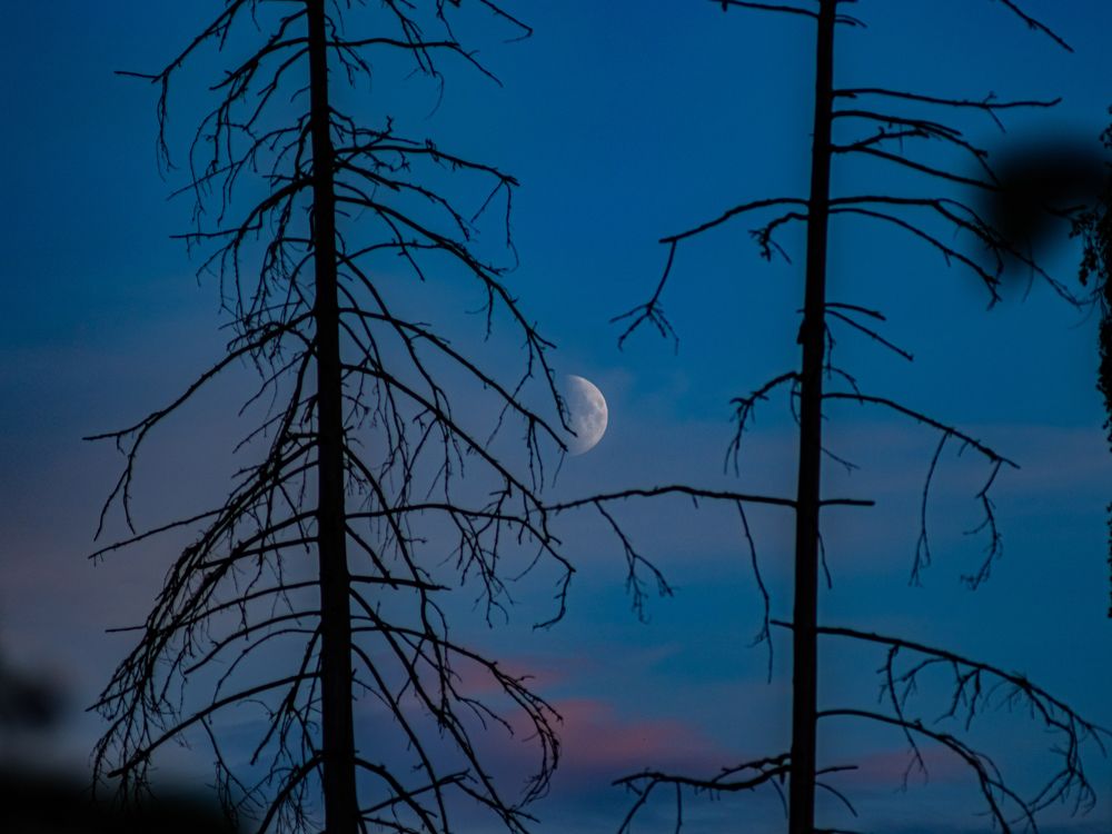 Photograph by Борис Челышев