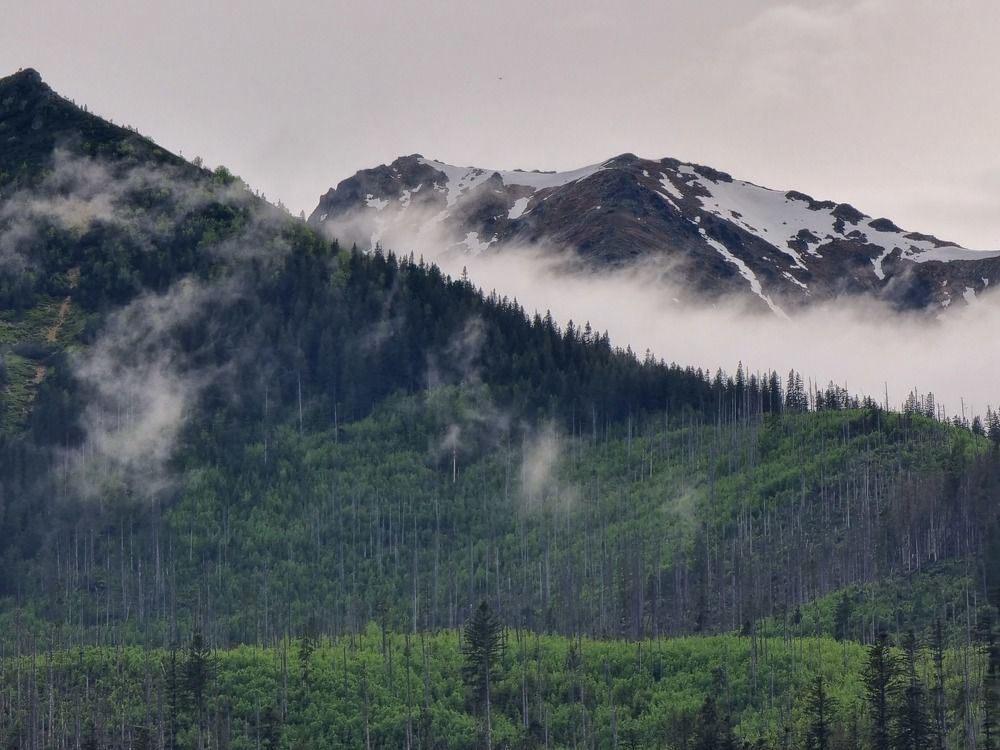 Photograph by Вячеслав Кононенео